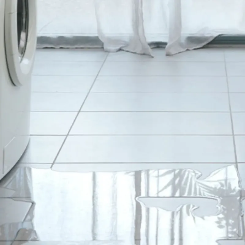 Appliance Leak Cleanup in Chippewa Falls, WI