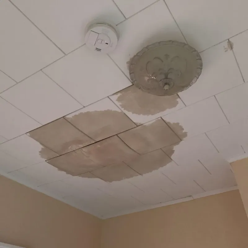 Ceiling Water Damage Repair in Chippewa Falls, WI