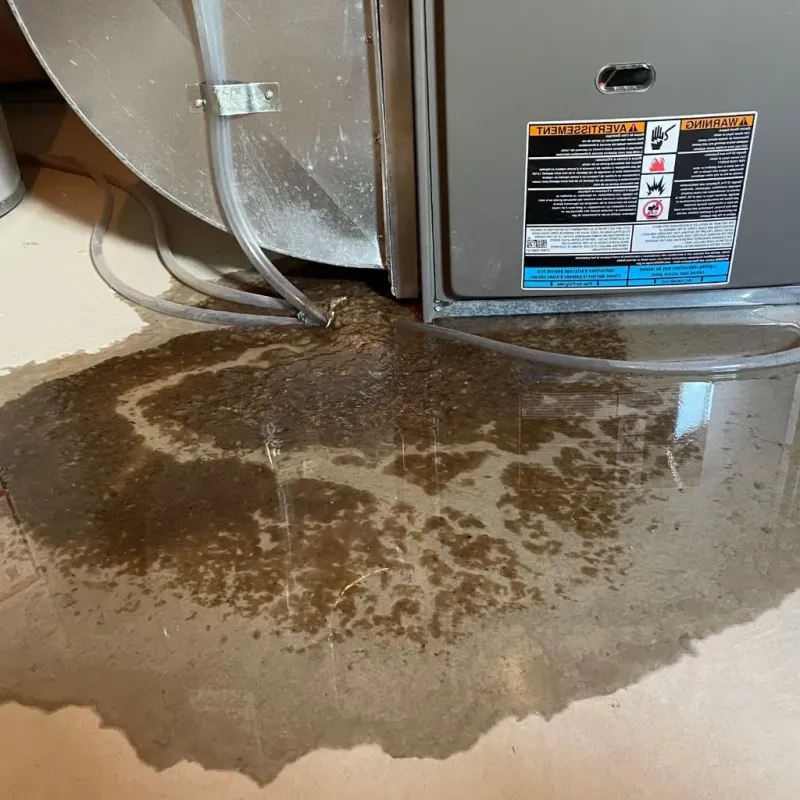 Pipe Burst and Leak Restoration in Chippewa Falls, WI